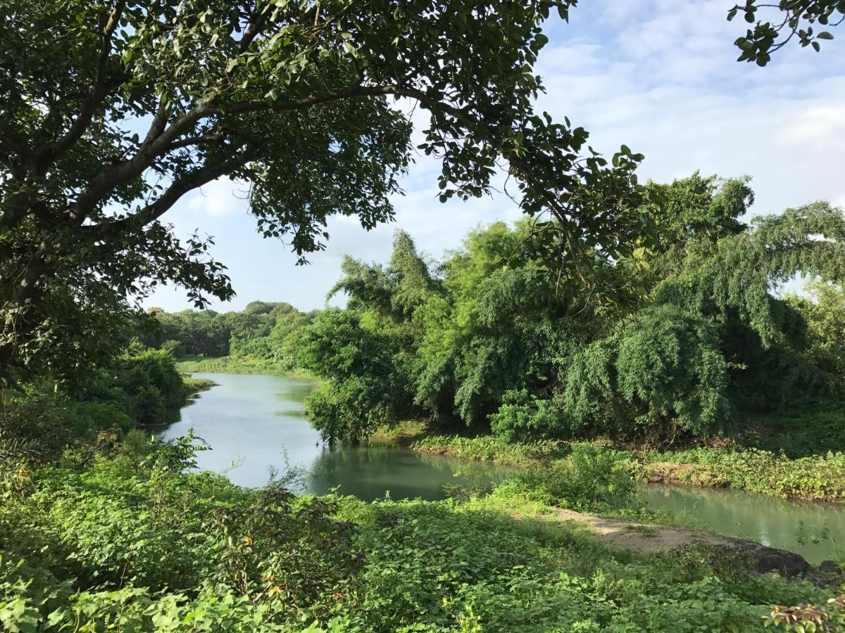 Zohra Baugh, A Green & Organic Farmhouse Stay With All Amenities Dahanu Exteriör bild
