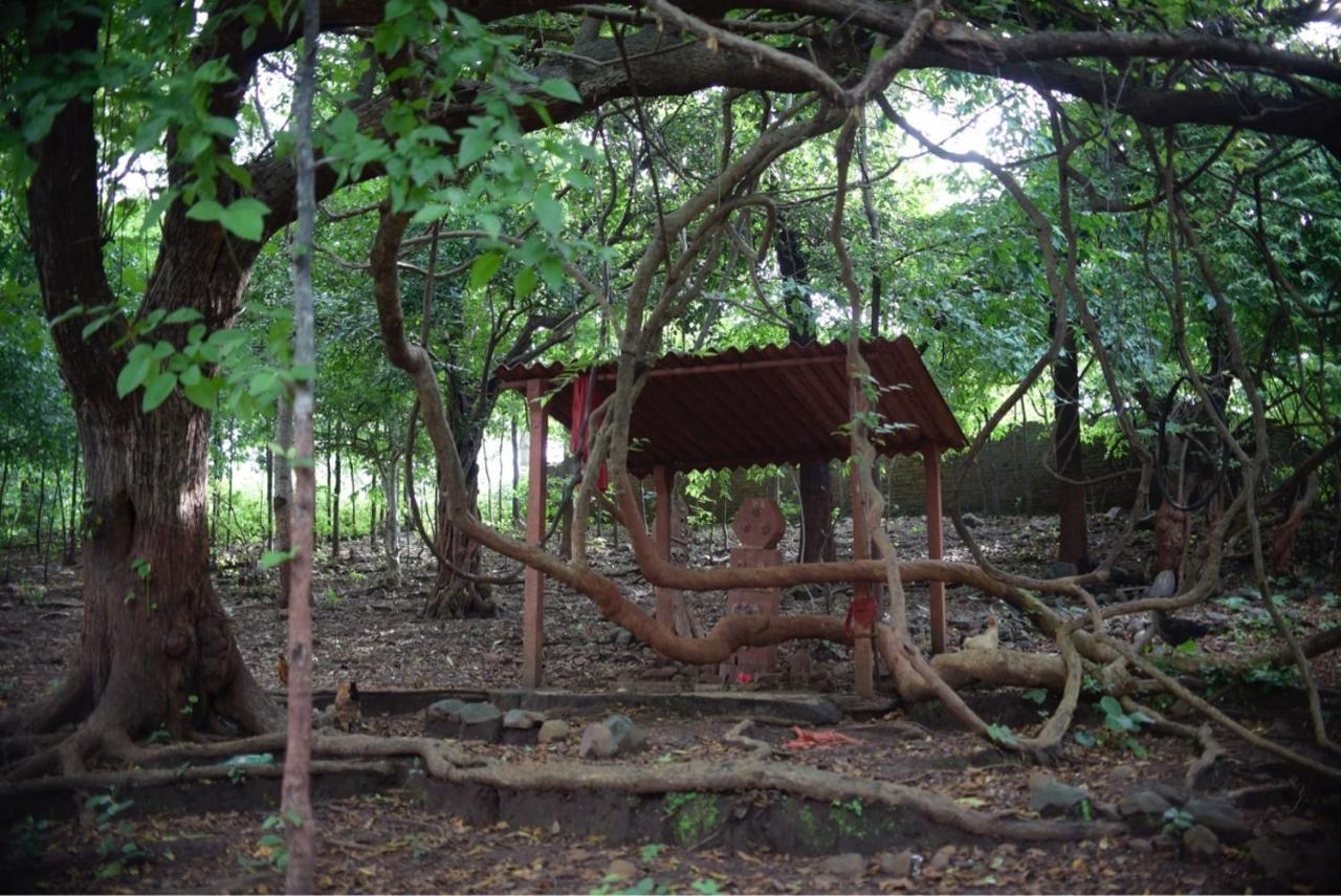 Zohra Baugh, A Green & Organic Farmhouse Stay With All Amenities Dahanu Exteriör bild