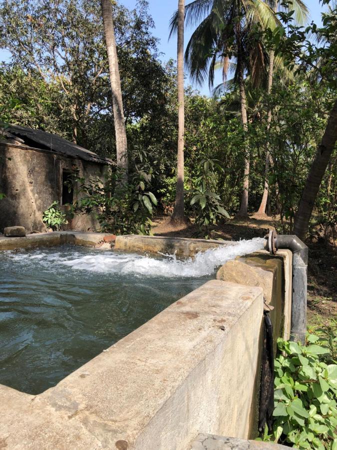 Zohra Baugh, A Green & Organic Farmhouse Stay With All Amenities Dahanu Exteriör bild